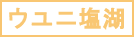 ウユニ塩湖のロゴ
